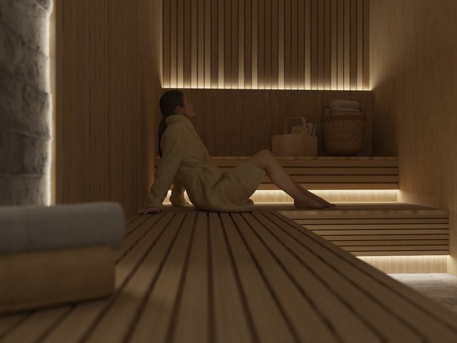 Render del sauna