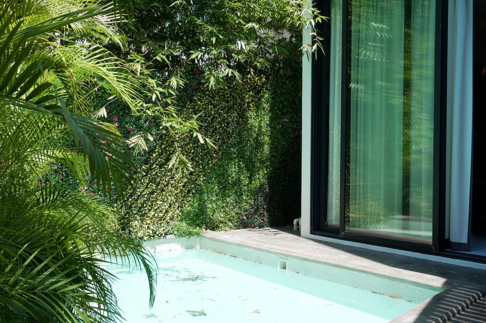 Casa 223 · Club Real — la alberca desde el jardín